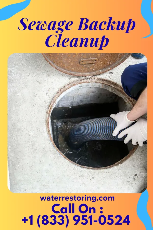 Sewage Backup Cleanup in Upper Arlington, OH