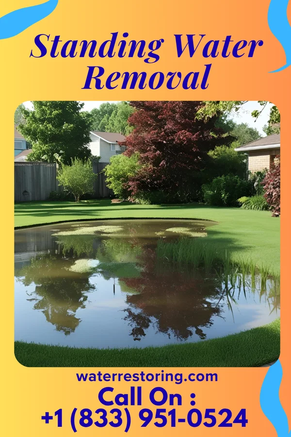 Standing Water Removal in Upper Arlington, OH
